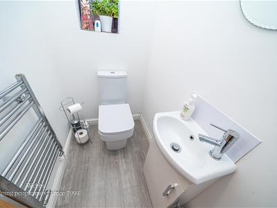 Picture 24